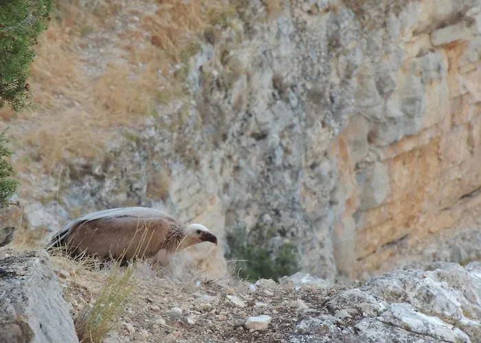 Ana De Tejas Azules 컨트리하우스 메디나셀리