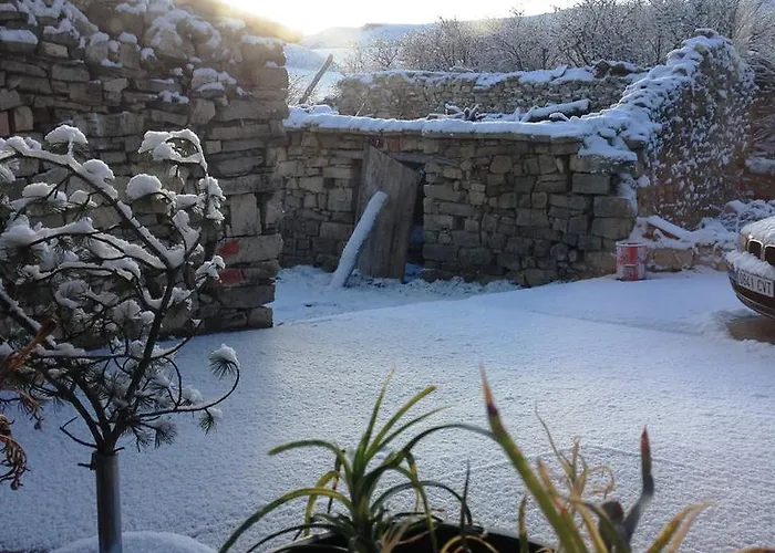 Ana De Tejas Azules * 메디나셀리